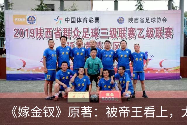 《嫁金钗》原著：被帝王看上，太后恨了她半辈子，全京城骂她不守妇道，她偏凭一人之力，改写两代命运！