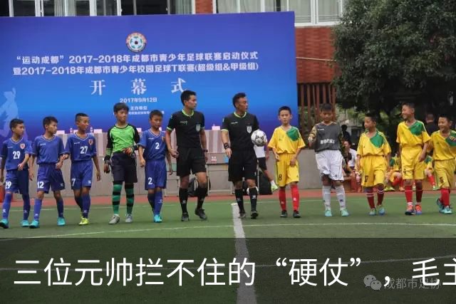 三位元帅拦不住的“硬仗”，毛主席图什么？