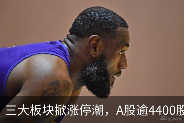 三大板块掀涨停潮，A股逾4400股上涨！