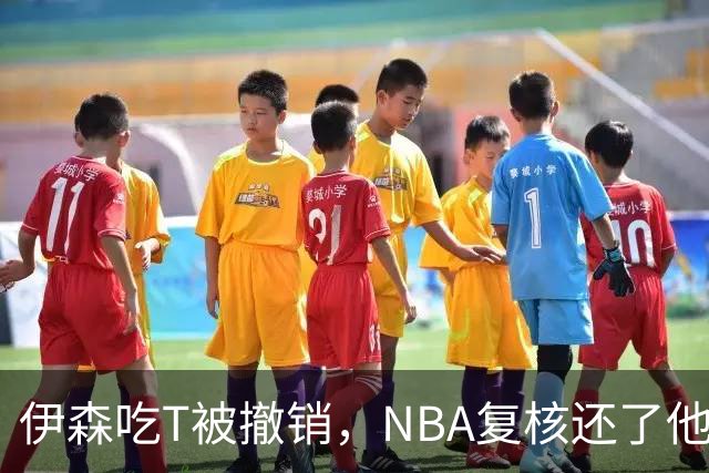伊森吃T被撤销，NBA复核还了他一个清白