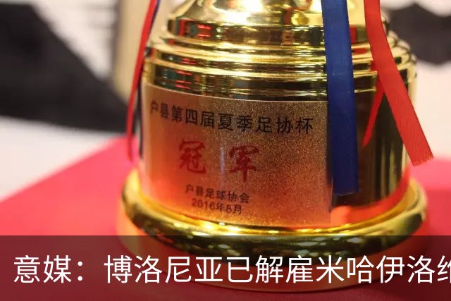 意媒：博洛尼亚已解雇米哈伊洛维奇 5轮仅获3分