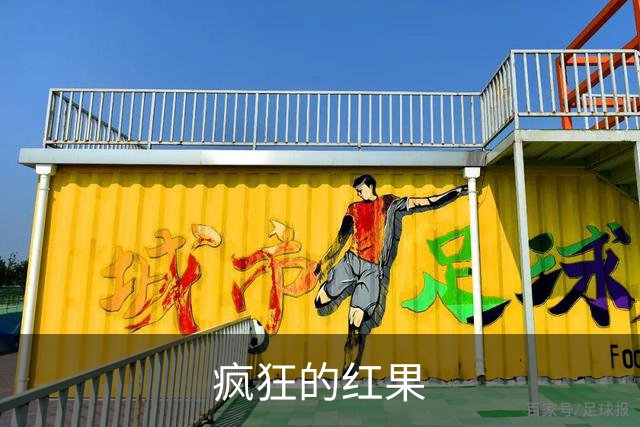 疯狂的红果