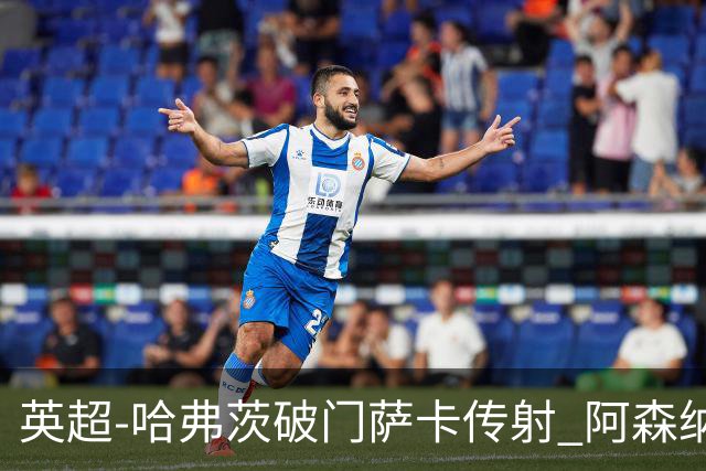英超-哈弗茨破门萨卡传射 阿森纳2-0狼队