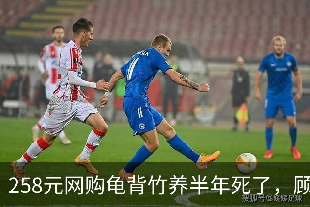 258元网购龟背竹养半年死了，顾客要求全额退款，商家拒绝后被投诉到闭店，对方还不依不饶起诉，商家应诉：店都没了，为什么要妥协